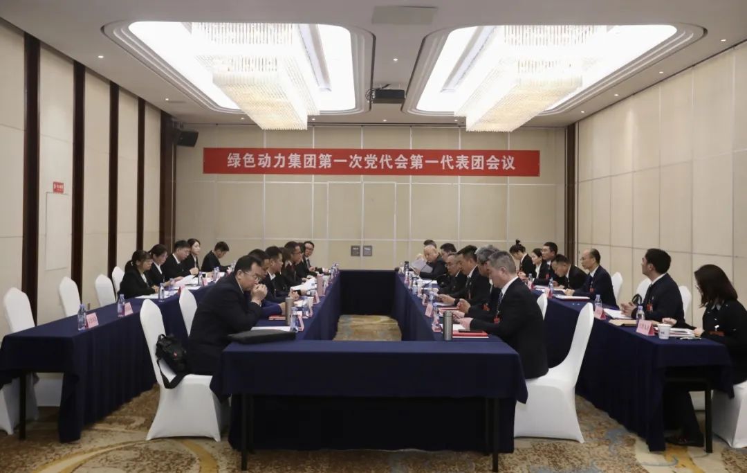 铭记使命再出发，代表热议“两委”报告