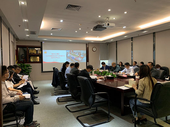 落实全面从严治党  高质量发展迎百年华诞――贵宾会动力集团党委召开2020年基层党支部书记抓党建工作述职评议会议